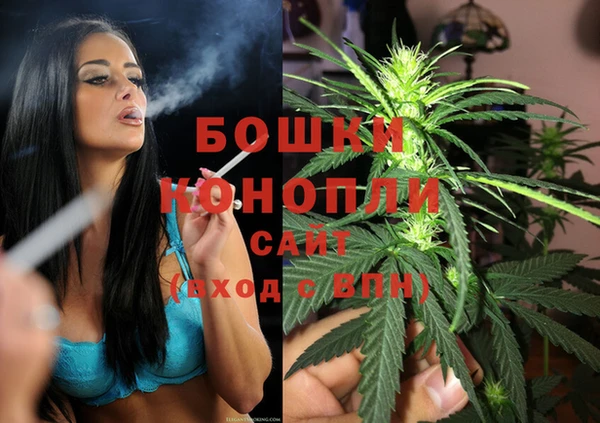 spice Медвежьегорск