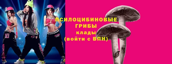 spice Медвежьегорск