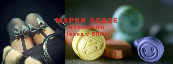 молекула духа Мегион