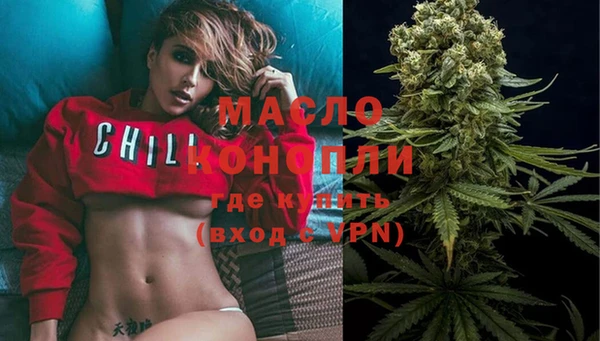 молекула духа Мегион