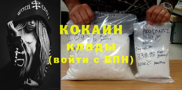 молекула духа Мегион
