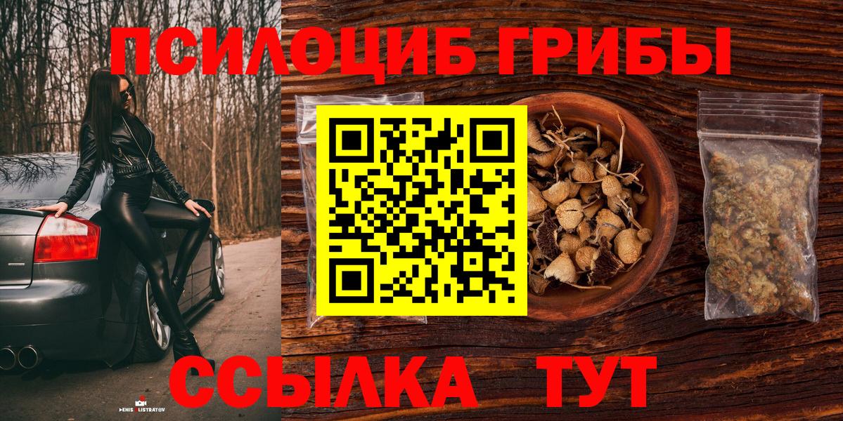 Галлюциногенные грибы Psilocybine cubensis Тайшет